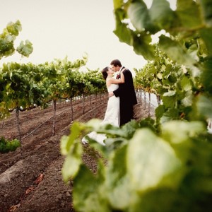 wedding at leal vineyards