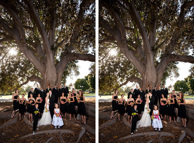 Bridal party under giant tree