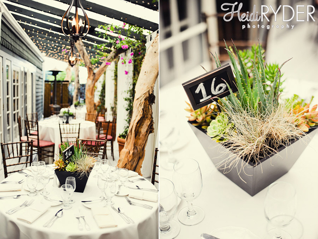 Hards-Mald-WedBlog-7
