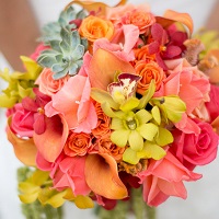 Beach Wedding in Costa Rica
