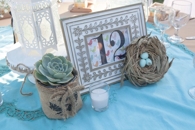 birds and bees themed wedding table setting