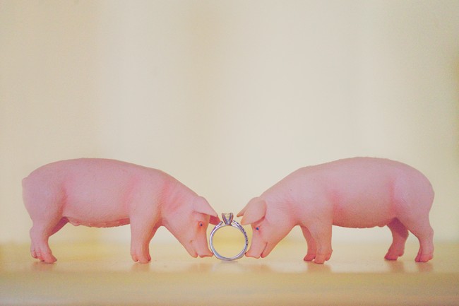 2 pig figurines holding an engagment ring