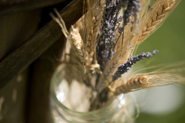 wheat and dried lavender in mason jar photo