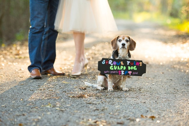3-Maternity-photo-couple-standing-on-path-with-beagle-with-sign-around-this-neck-saying-they-are-expectingf