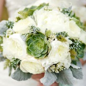 Horticulture Styled Shoot