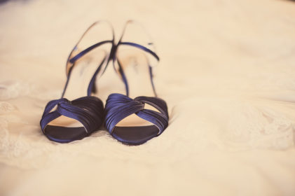 Nina Camille navy blue shoe