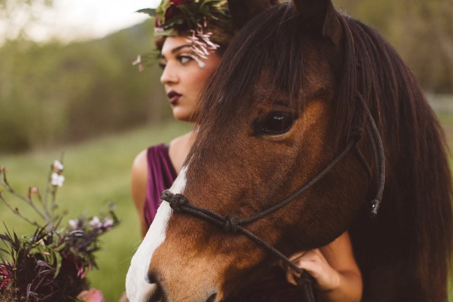 closeup photo of horse's head and bride