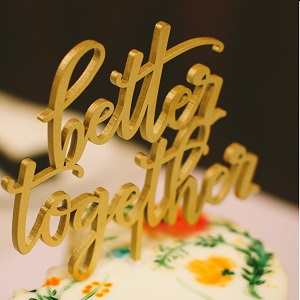 View More: http://rachelzierkephotography.pass.us/jaminandlisa