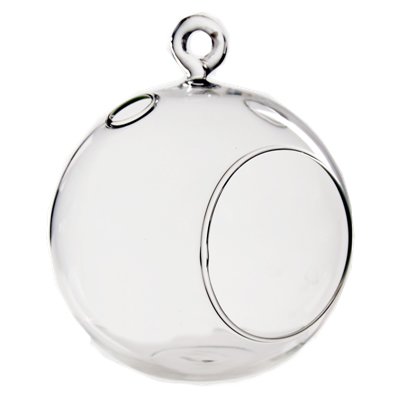 round glass terrarium