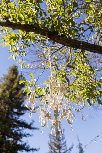 chandelier hanging from tree branch