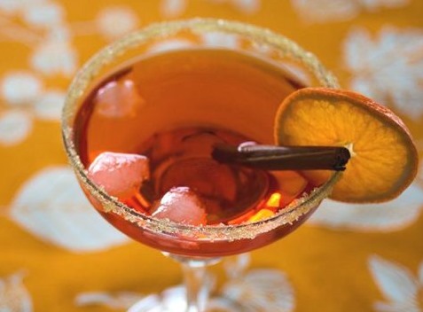 citrus and aperol cocktail with cinnamon stick and orange slice
