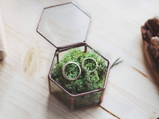 Geometric Ring Box with moss