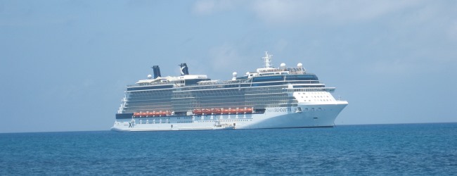 Celebrity Silhouette ship parked at sea