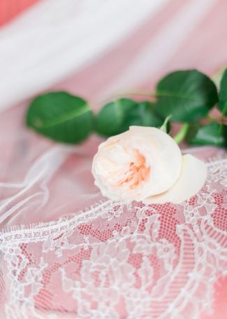 pink rose on veil