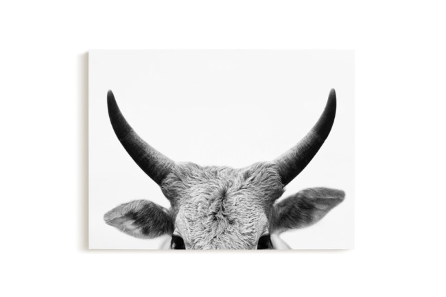 cow horns canvas wall art