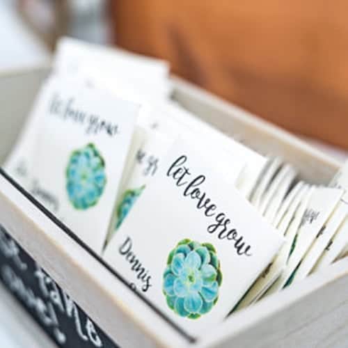 Personalized succulent seed packets