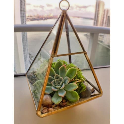 11 Beautiful Hanging Terrarium Ideas + DIY Inspiration