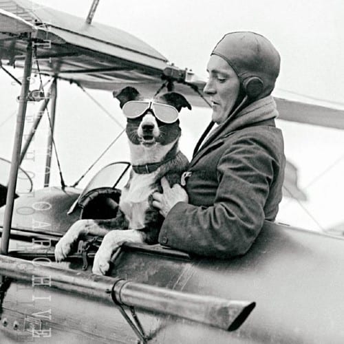 vintage photo of man and dog in plane