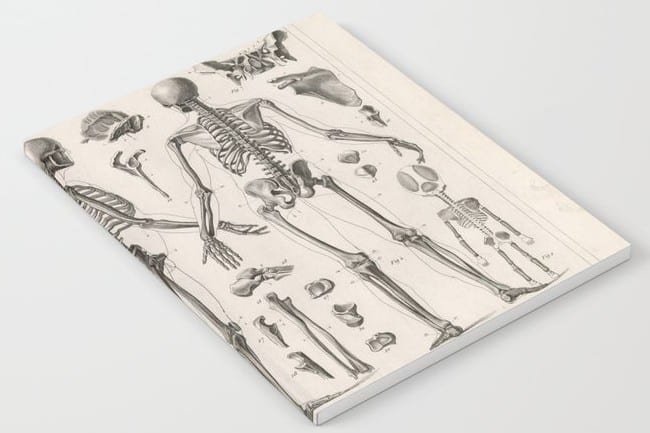 1857 Anatomy Diagram Notebook