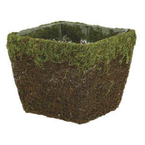 moss container