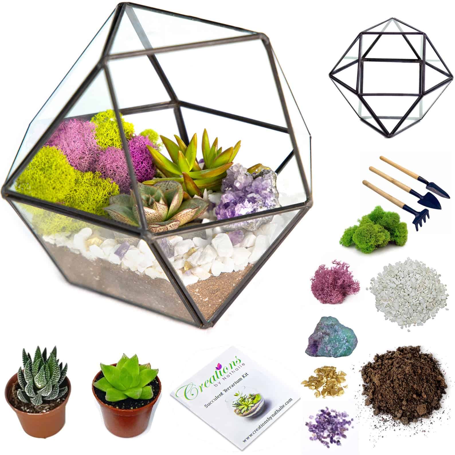 Geometric Succulent Terrarium Kit