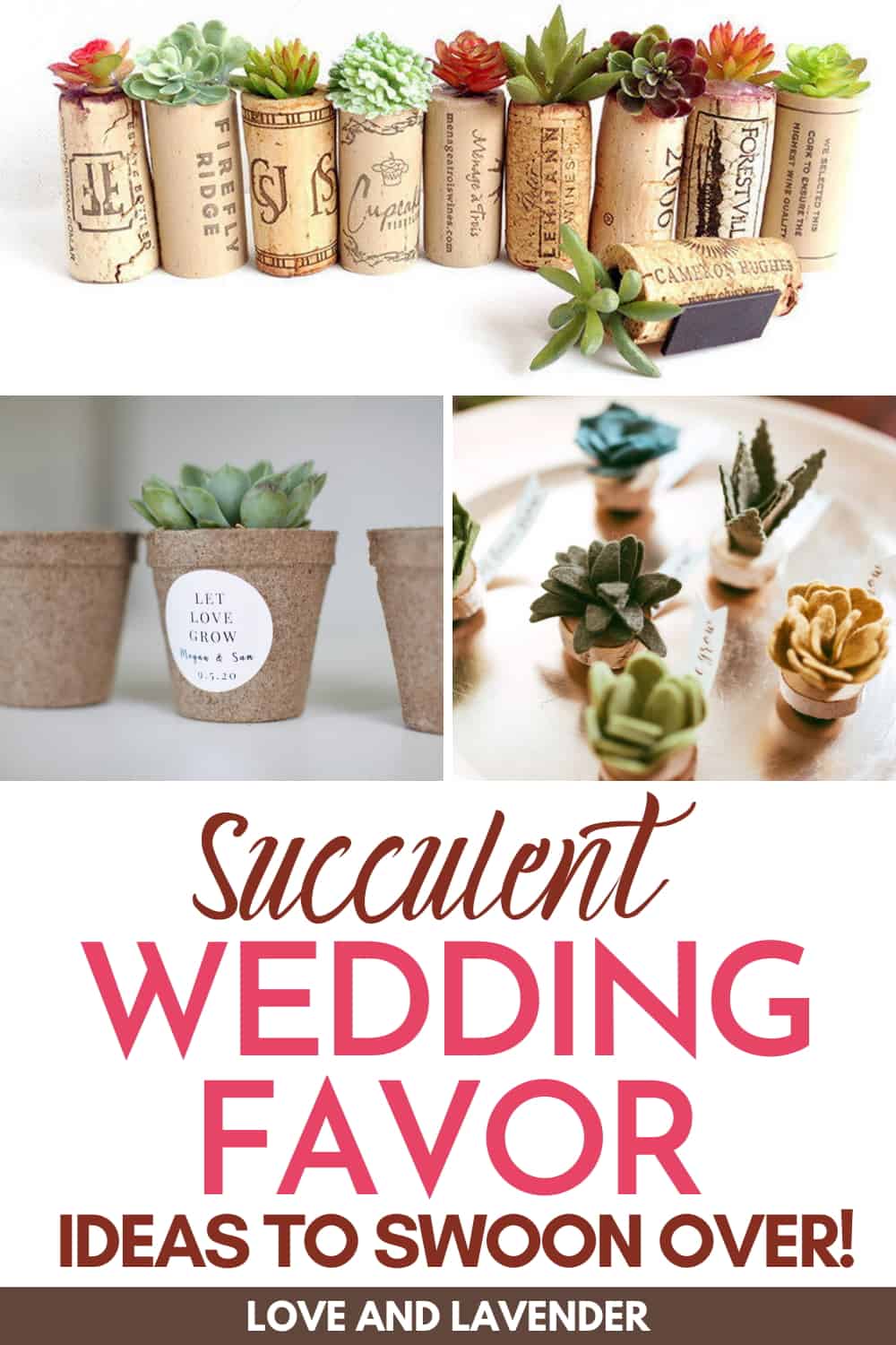 pinterest pin - succulent wedding favors