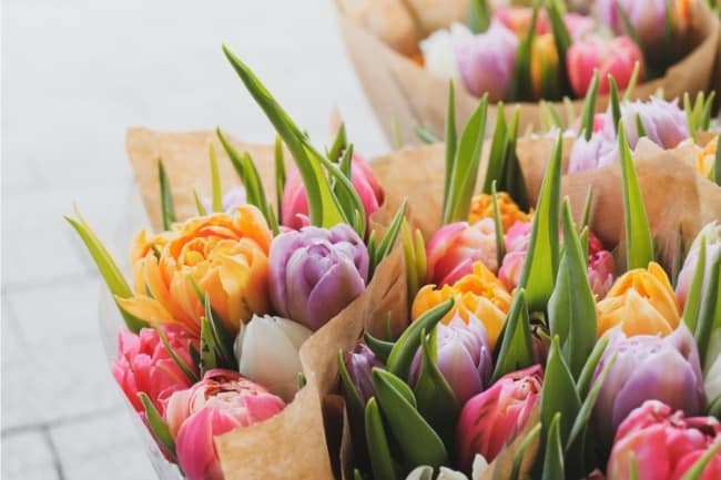 tulips bouquets