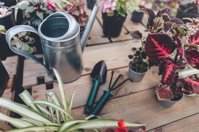 12 Best Watering Cans For Thirsty Plants