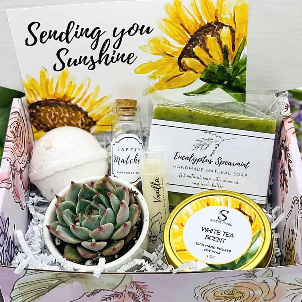 Thinking of You Succulent Gift Box