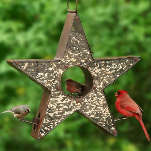 Copper Star Bird Feeder