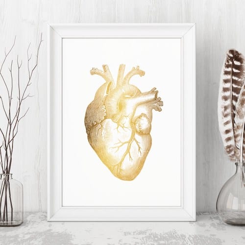 Gold Foil Heart Anatomical Art