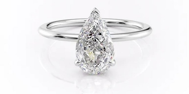 The Kamelie Moissanite Solitaire Engagement Ring