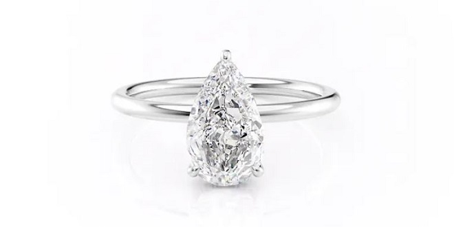 The Low Profile Kamelie Solitaire Moissanite Engagement Ring